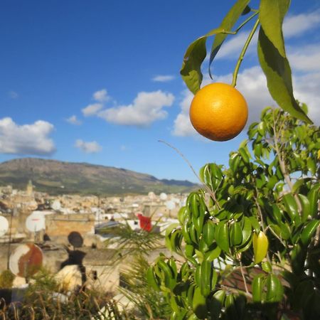 Dar Lalla Kenza Fes Luaran gambar
