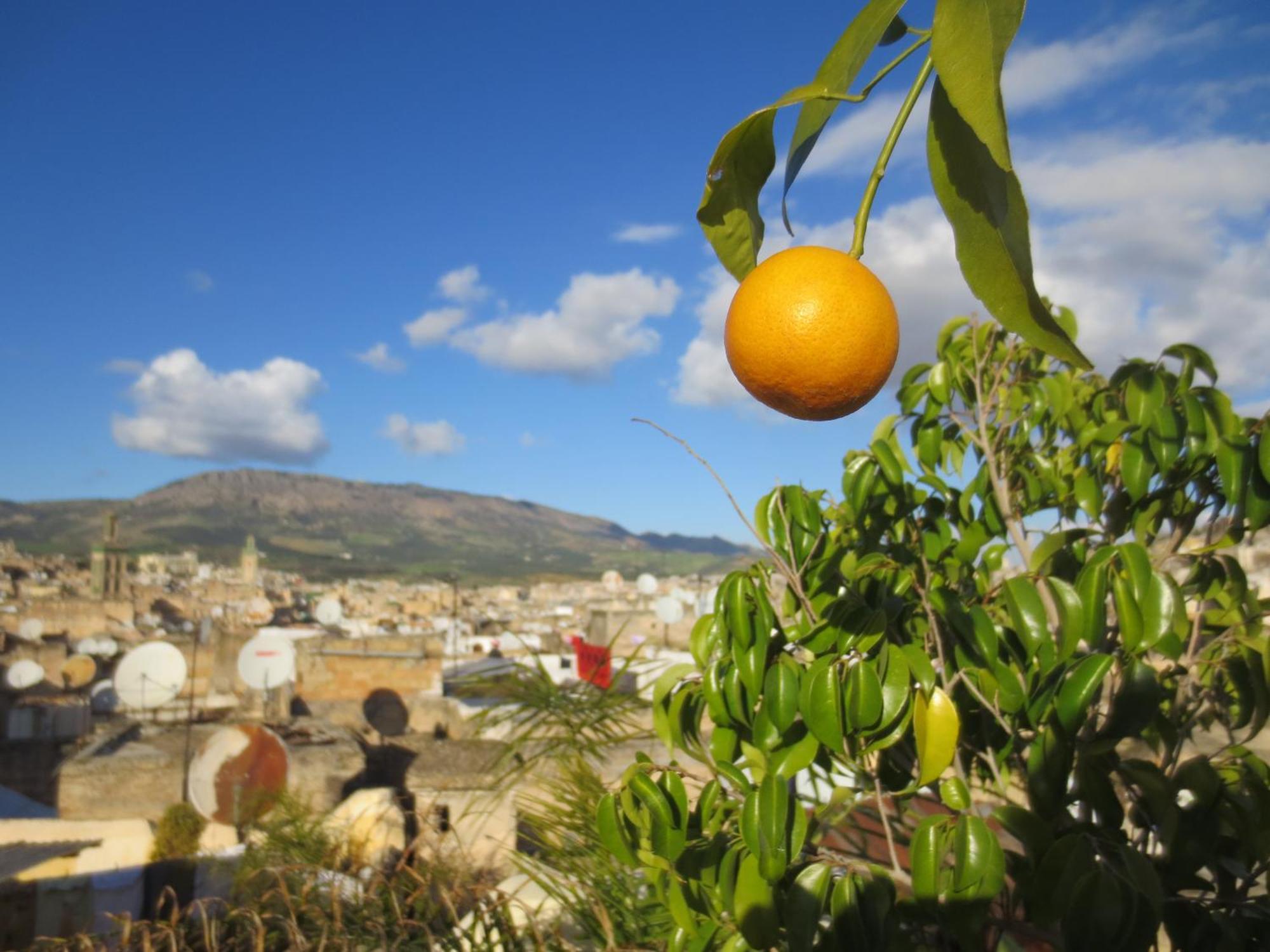 Dar Lalla Kenza Fes Luaran gambar